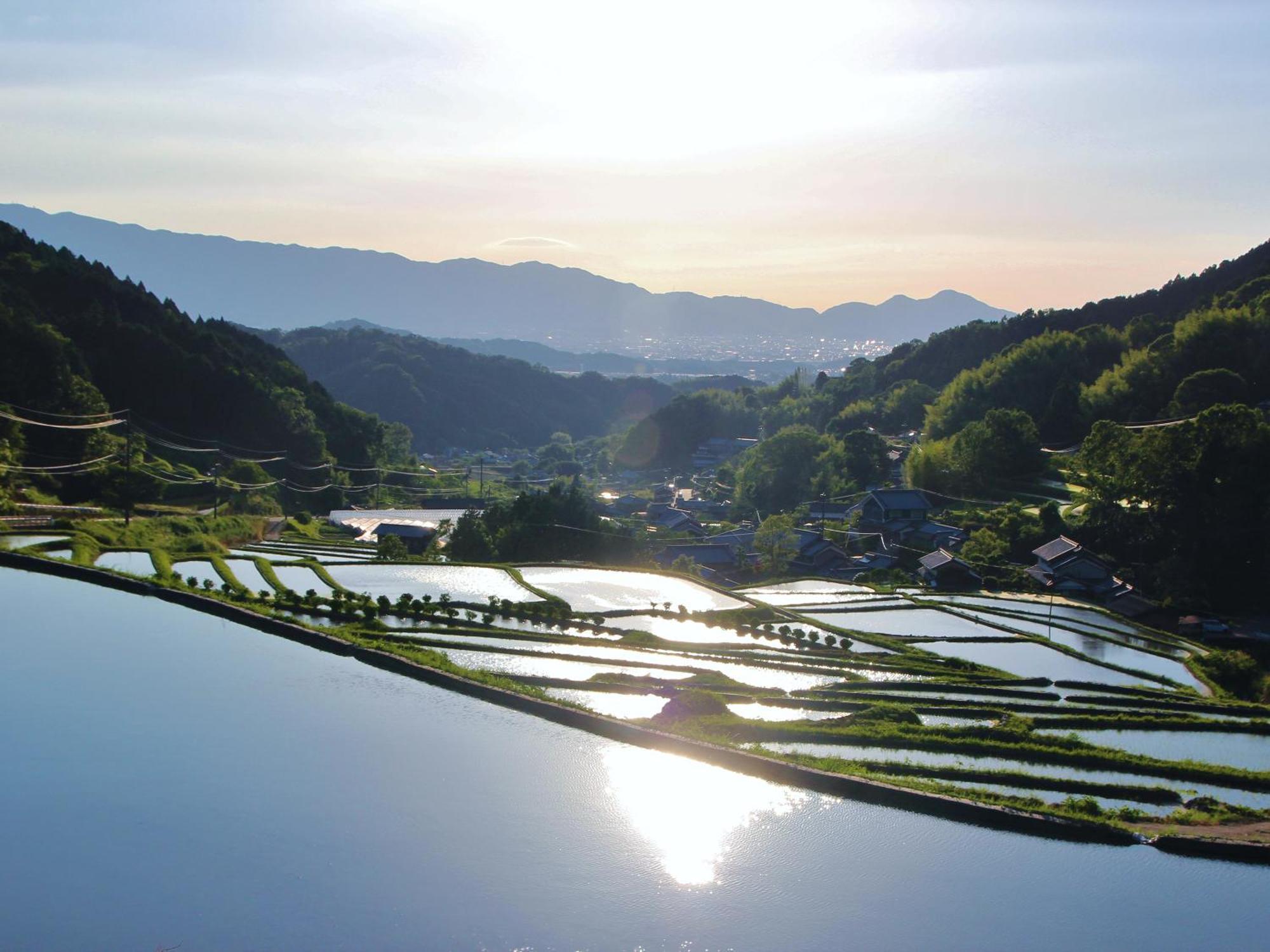 Grand Mercure Nara Kashihara Kashihara  Exterior foto